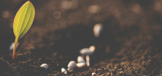 How to Develop Best Habits: 7 Small Changes Which Produce Huge Results