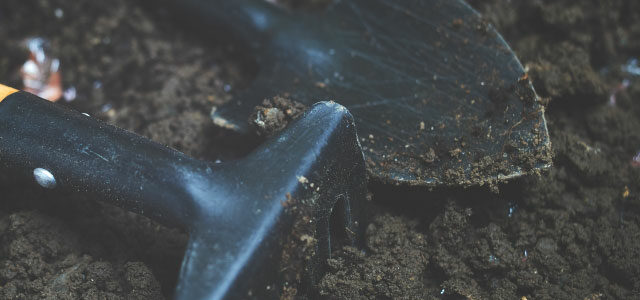 Why You MUST Replant Your Church in the New Year